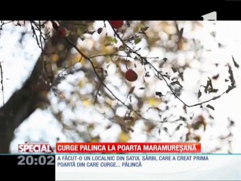 SPECIAL! Curge palinca la poarta maramureșană