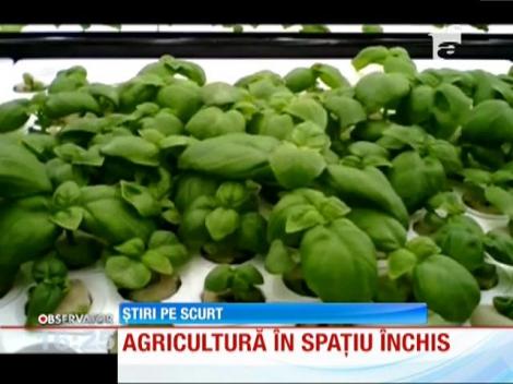 Agricultură în spațiu închis