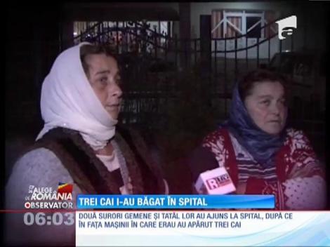 Au ajuns la spital, după ce în fața mașinii în care erau au apărut 3 cai