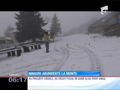 Ninsori abundente la munte