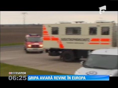 Alertă în Europa! Gripa aviară a revenit în câteva ţări din vestul continentului