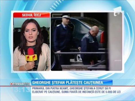 Primarul din Piatra Neamţ, Gheorghe Ştefan, ar putea fi eliberat pe cauţiune