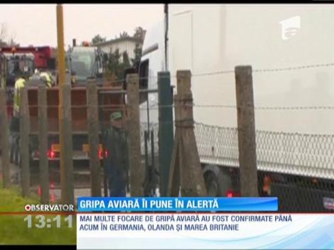 ANSVSA a hotărât să intensifice controalele în ţară la fermele de păsări