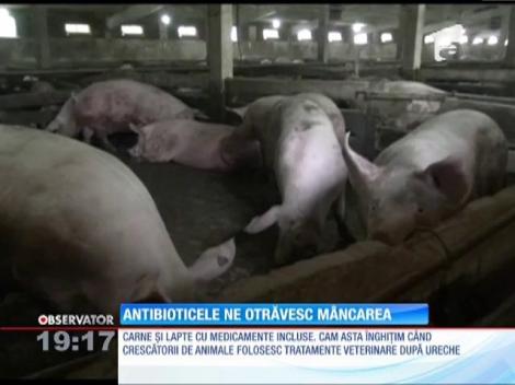Antibioticele ne otrăvesc mâncarea