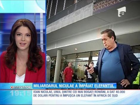Ioan Niculae a plătit 40.000 de dolari pentru a vâna un elefant