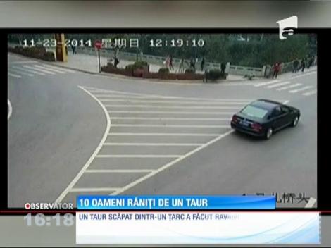 10 oameni răniţi de un taur