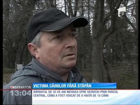 Un bărbat, victima câinilor fără stăpân