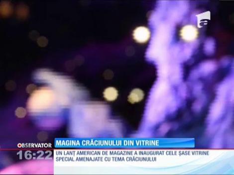 Imaginea Crăciunului din vitrine