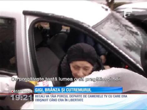 Gigi Becali se pregăteşte să taie porcul de Crăciun