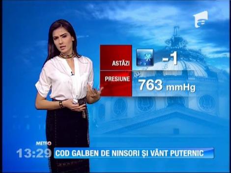 Cod galben de ninsori şi vânt puternic