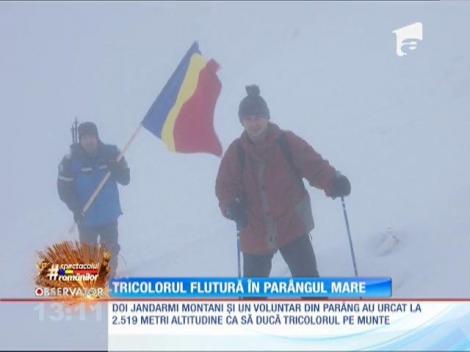 Tricolorul flutură pe vârful Parângul Mare