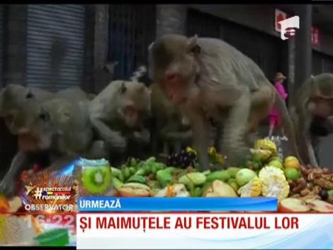 În Thailanda maimuțele au festivalul lor