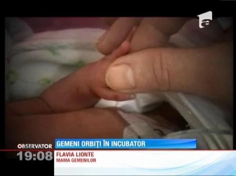Gemeni orbiți în incubator