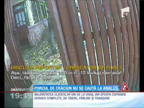 Carne testată când o zbura porcul. Crescătorii vând porcii direct din coteţ