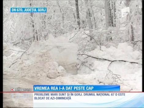 Vremea rea i-a dat peste cap pe oamenii din Buzău