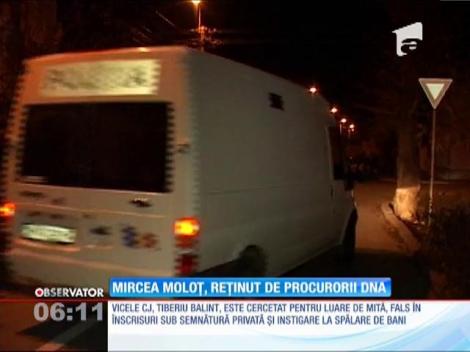Mircea Moloţ, preşedintele Consiliului Judeţean Hunedoara, reţinut de procurorii DNA