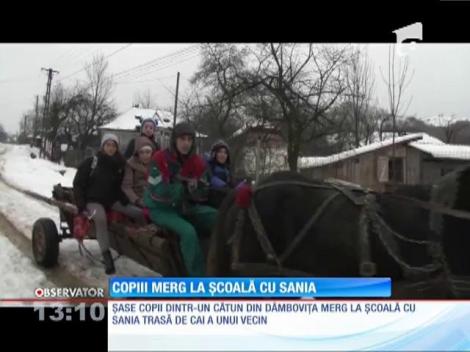 Şase copii dintr-un sat din Dâmboviţa merg la şcoală cu sania