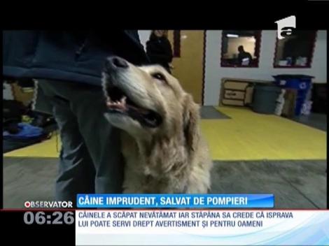 Operaţiune de salvare emoţionantă într-un orăşel din nord-estul Statelor Unite