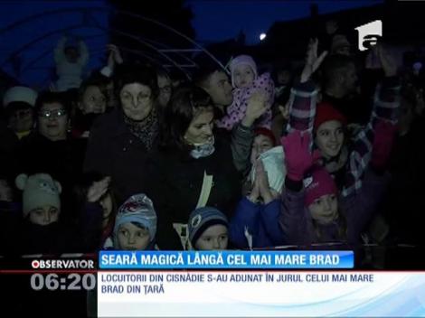 Cel mai mare brad de Căciun din ţară a fost împodobit la Cisnădie