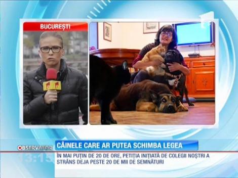 Max, câinele care ar putea schimba legea
