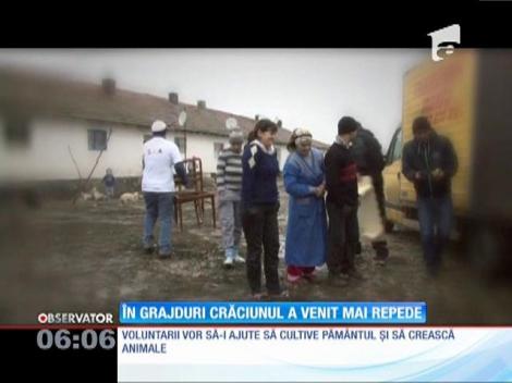 În grajduri Crăciunul a venit mai repede