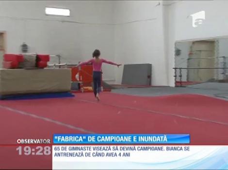 ”Fabrica” de campioane la gimnastică din Ploieşti, inundată
