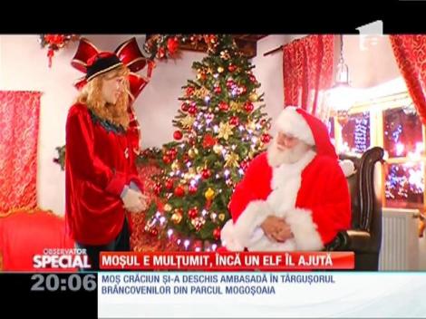 Special! Viața unui elf de-al lui Moș Crăciun