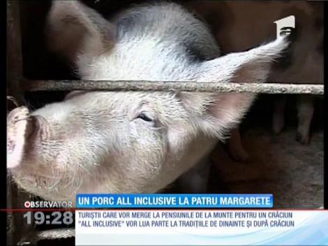 Câte un porc pentru fiecare familie care petrece Crăciunul la pensiunile de la Bran!