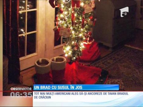 Bradul de Crăciun agățat de tavan cu susul în jos