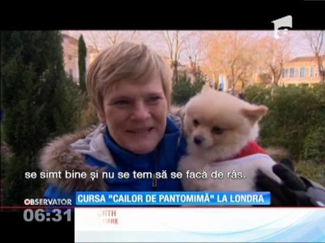 Cursa "Cailor de Pantomină" la Londra