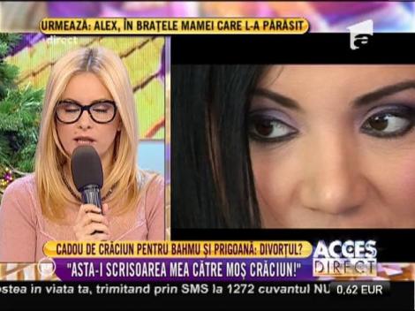 Cadou de Crăciun pentru Adriana Bahmuţeanu şi Silviu Prigoană: Divorţul?