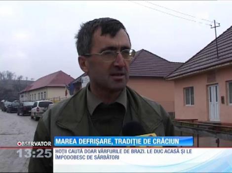 Marea defrişare, tradiţie de Crăciun