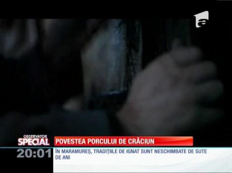 Povestea PORCULUI DE CRĂCIUN! Cum a ajuns să fie sacrificat GHIŢĂ