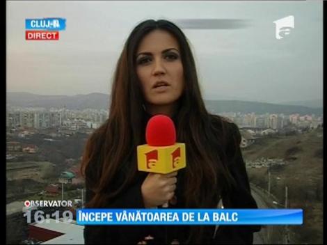 Începe tradiţională vânătoare de mistreţi de la Bâlc