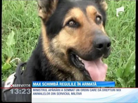 Drepturi noi pentru animalele din serviciul militar