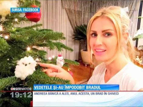 Vedetele și-au împodobit bradul de Crăciun