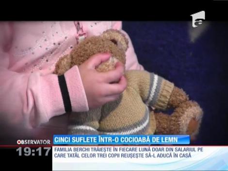 5 suflete într-o cocioabă de lemn