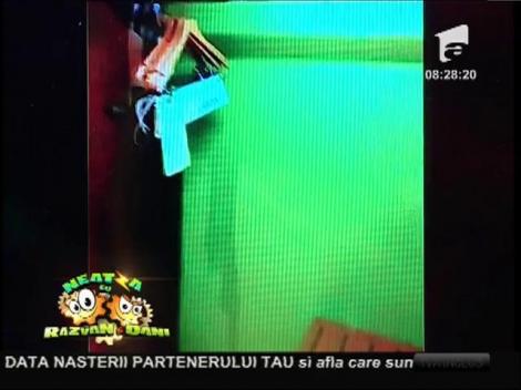 Smiley News: Două românce în Egipt