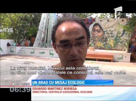 Un brad cu mesaj ecologic