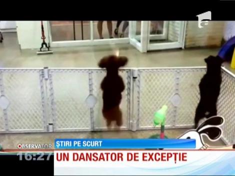 Un dansator de excepție