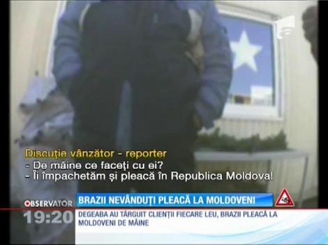 Nu lăsăm la preţ, ne ducem cu marfa peste Prut! Î