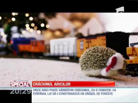 Crăciunul Aricilor