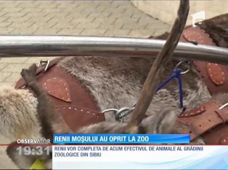 Renii Moşului au oprit la Zoo