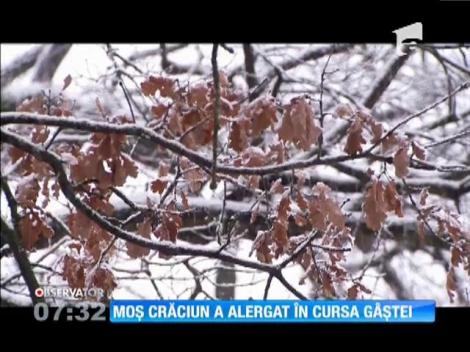Moș Crăciun a alergat în cursa gâștei