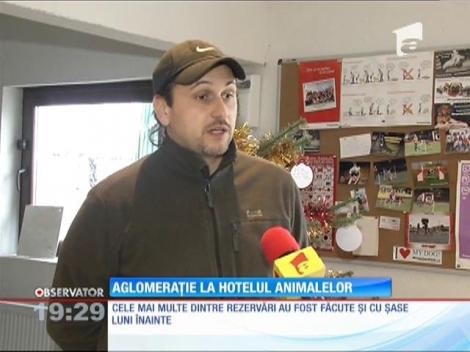 Aglomerație la hotelul animalelor