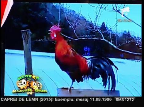 Smiley news: Cele mai bune momente din 2014