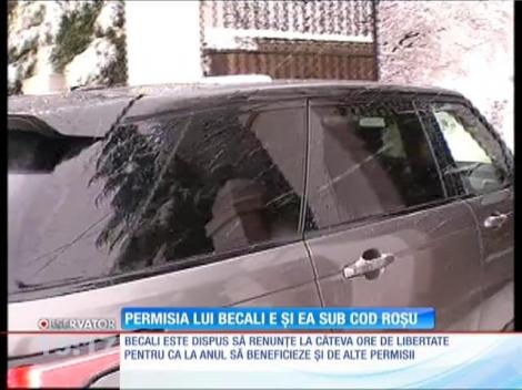 Permisia lui Gigi Becali ar putea fi scurtată de vremea rea