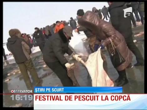 Festival de pescuit la copcă