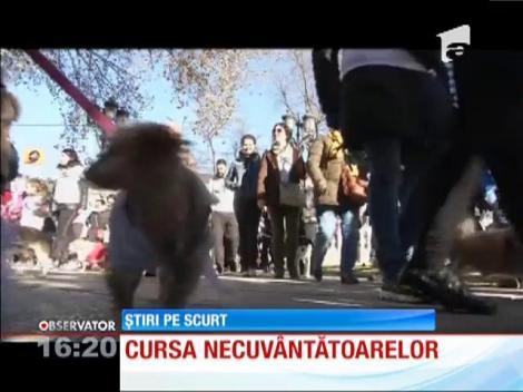 Cursa necuvântătoarelor