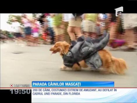 Parada câinilor mascaţi de la New York